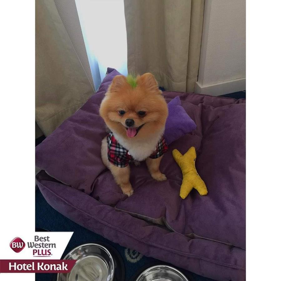 Western 4* Izmir